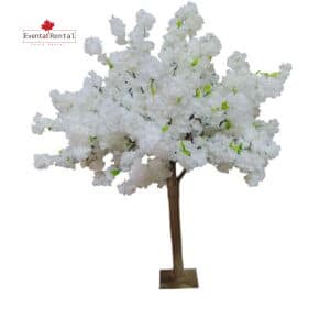 White Cherry Blossom tree